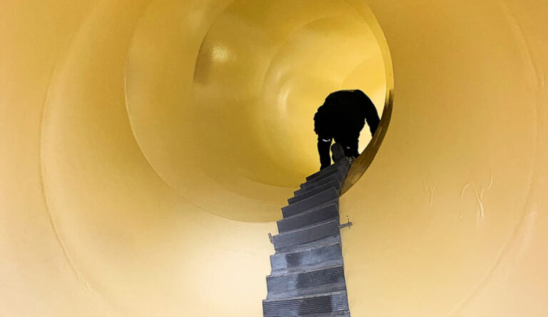 Occaecat reiciendis, nostra sequi nullam